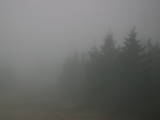 16 : 24