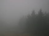 16 : 32