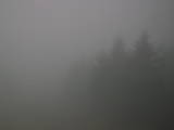 16 : 36