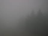 16 : 48