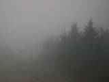 16 : 56