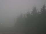 17 : 06