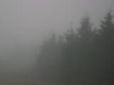 17 : 08