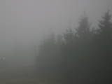 17 : 14