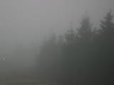 17 : 16