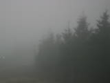 17 : 20