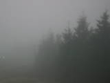 17 : 22