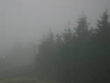 17 : 28