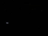 19 : 04