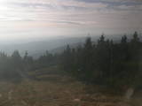 15 : 44