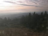 16 : 20