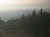 16 : 36