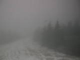 16 : 20