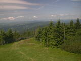 10 : 20