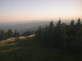 20 : 28
