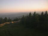 20 : 40