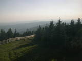 19 : 20