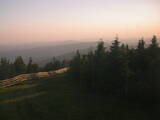 20 : 24