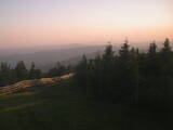 20 : 28