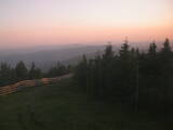 20 : 40
