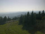 17 : 36