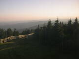 20 : 32