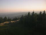 20 : 36