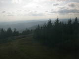 17 : 36
