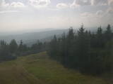 16 : 36