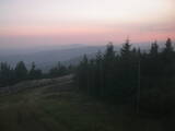 20 : 20