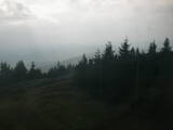 15 : 04