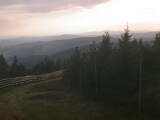 19 : 24