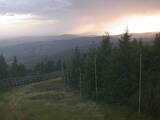 19 : 36