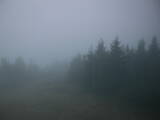 06 : 44
