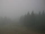 08 : 20