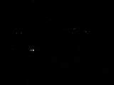 22 : 44