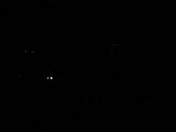03 : 36