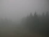 15 : 16