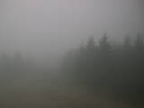 15 : 24