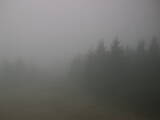 15 : 52
