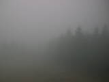 16 : 44