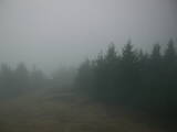 18 : 54