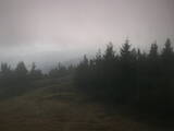16 : 40