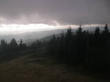 16 : 52