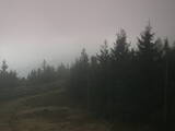 17 : 36