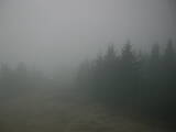 18 : 46