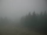 18 : 56