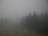 19 : 06