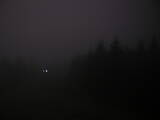 19 : 20