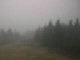 14 : 08